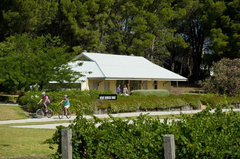 Tour De Vines - Tourism Guide 1