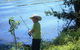 Fraser Coast Amazing Fishing Trails - thumb 13