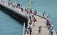 Fraser Coast Amazing Fishing Trails - thumb 24