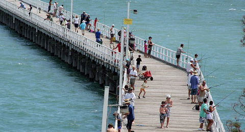 Fraser Coast Amazing Fishing Trails - Cruises Travel 24