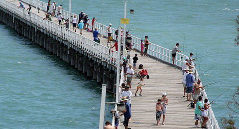 Fraser Coast Amazing Fishing Trails - Cruises Travel 27