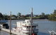 Fraser Coast Amazing Fishing Trails - thumb 33
