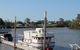 Fraser Coast Amazing Fishing Trails - thumb 34