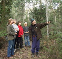 Great Western Tiers Forest Walks Tasmania - Cruises Travel