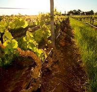 Kaesler Old Vine Vineyard Tour - Travel Agents