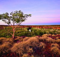 Island Stack Boodjamulla Lawn Hill National Park - Tourism Guide