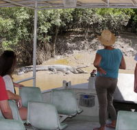 Whitsunday Crocodile Safari - Tourism Guide