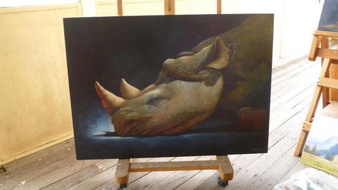 Art On Pallas - Tourism Guide 0