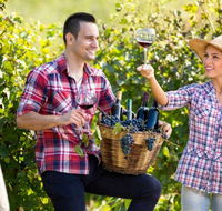 Two Tails Wines - Tourism Guide