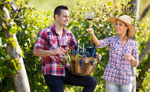 Two Tails Wines - Tourism Guide 0
