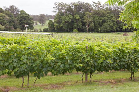 Two Tails Wines - Tourism Guide 2