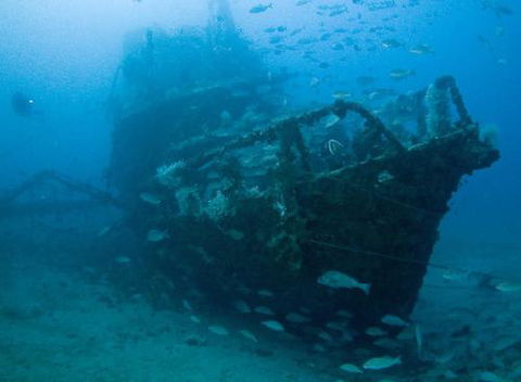 Kirra Dive “On The Tweed” - Tourism Guide 4