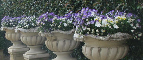 Gardenalia Open Garden And Rare Plant Nursery - Travel Agents 0