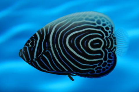 River To Reef Aquarium - Tourism Guide 2