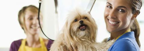 Port Stephens Pet Barn - Tourism Guide 1