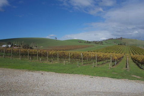 Wine Compass - Tourism Guide 1