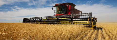 Quirindi Grain And Produce - Tourism Guide 0