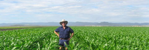 Quirindi Grain And Produce - Tourism Guide 1