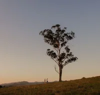 Faulls Ridge Winery - Travel Search