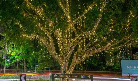 The Sunshine Coast Tour Company - Tourism Guide 3