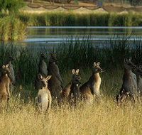 Canberra - The National Capital  Full Day Private Tour  Departs from Sydney - Tourism Guide