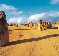 Pinnacles Desert Koalas and Sandboarding 4WD Day Tour from Perth - Tourism Guide
