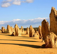 Pinnacles and Yanchep National Park Day Trip from Perth Including Lobster Shack Lunch and Sandboarding - Tourism Guide