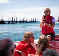 Rottnest Island Tour from Perth or Fremantle including Adventure Speed Boat Ride - Tourism Guide