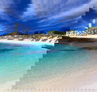 Rottnest Island Grand Tour Including Lunch and Historical Train Ride - Tourism Guide