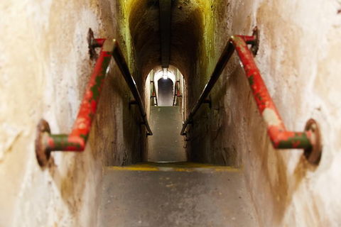 Rottnest Island Grand Tour Including Lunch And Historical Train Ride - Tourism Guide 3