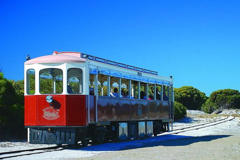 Rottnest Island Grand Tour Including Lunch And Historical Train Ride - Tourism Guide 6