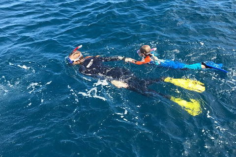 Deluxe WhaleShark Swim Tour On The Ningaloo Reef From Exmouth - Tourism Guide 5