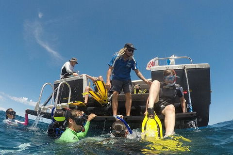 Deluxe WhaleShark Swim Tour On The Ningaloo Reef From Exmouth - Tourism Guide 6