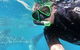 Deluxe WhaleShark Swim Tour On The Ningaloo Reef From Exmouth - thumb 4