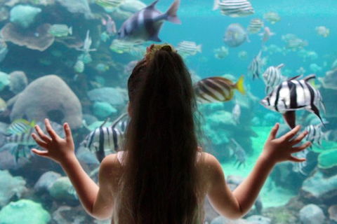 AQWA The Aquarium Of Western Australia: General Admission - Tourism Guide 1