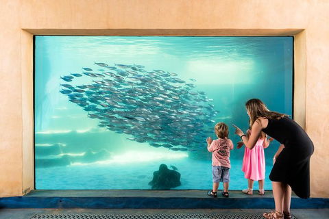 AQWA The Aquarium Of Western Australia: General Admission - Tourism Guide 2