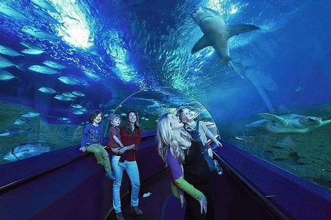 AQWA The Aquarium Of Western Australia: General Admission - Tourism Guide 14