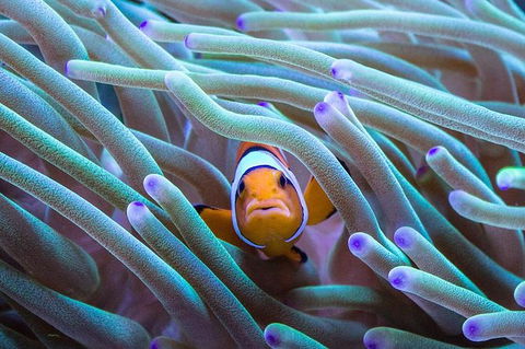 AQWA The Aquarium Of Western Australia: General Admission - Tourism Guide 4
