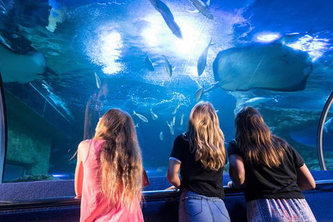 AQWA The Aquarium Of Western Australia: General Admission - Tourism Guide 7