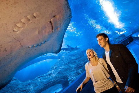 AQWA The Aquarium Of Western Australia: General Admission - Tourism Guide 6