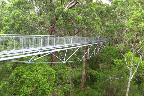 Albany Southwest Wilderness Day Tour - Fly From Perth - Tourism Guide 0