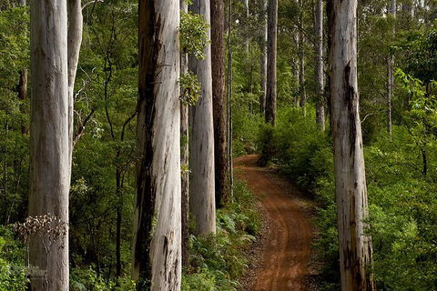Albany Southwest Wilderness Day Tour - Fly From Perth - Tourism Guide 6