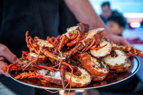Mandurah Wild Seafood Adventure Cruise - Tourism Guide 1