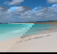 Pink Lake and Abrolhos Full Day Fly and Flipper - Tourism Guide