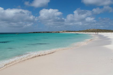 Pink Lake And Abrolhos Full Day Fly And Flipper - Tourism Guide 0