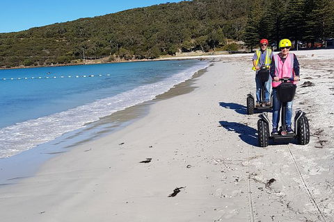 Albany Summit To Sea Adventure - Guided Segway Tour - Tourism Guide 1