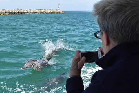 Mandurah Dolphin Island Adventure - Tourism Guide 0