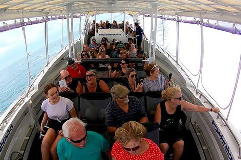 Mandurah Dolphin Island Adventure - Tourism Guide 1