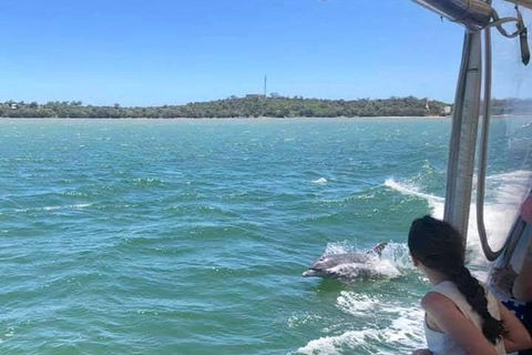 Mandurah Dolphin Island Adventure - Tourism Guide 9