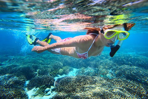 Abrolhos Islands Scenic Flight & Snorkel Adventure From Perth - Tourism Guide 2
